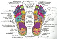 voetzoolreflexologie